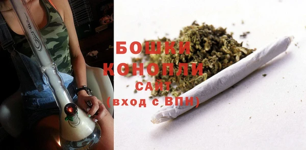 твердый Корсаков