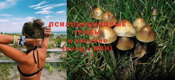 гидропоника Краснотурьинск