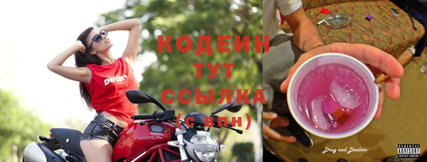 ПСИЛОЦИБИНОВЫЕ ГРИБЫ Краснослободск
